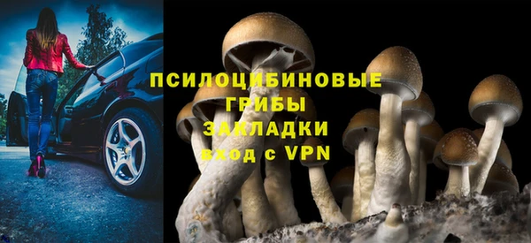 таблы Верея