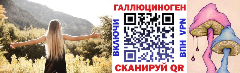 купить  сайты  Ипатово  Псилоцибиновые грибы Magic Shrooms 